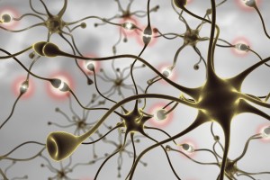 An Encompassing Approach To Neuroinflammation