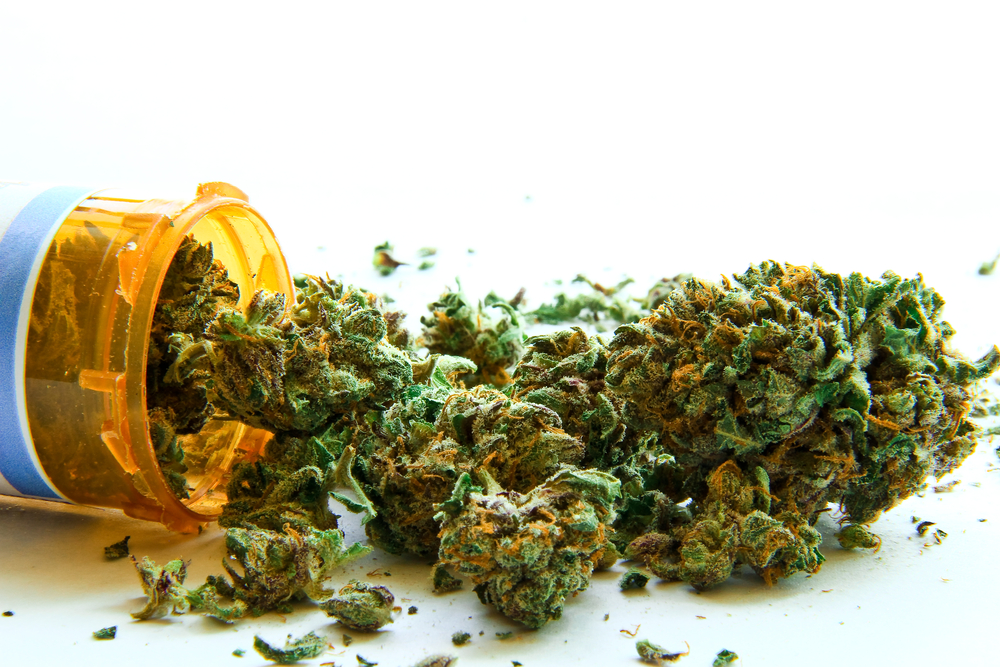 Marijuana Shows Potential in Treating Autoimmune Disease