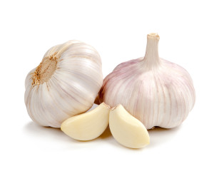 Monograph: Garlic