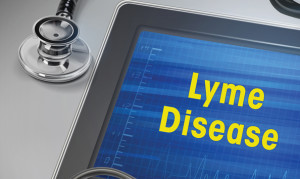 The Dangers of Lingering Lyme
