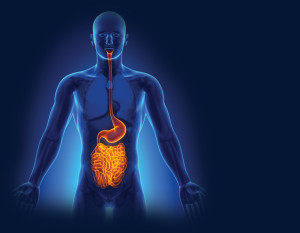 Digesting the Matter