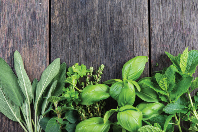 Herbs and Formulas