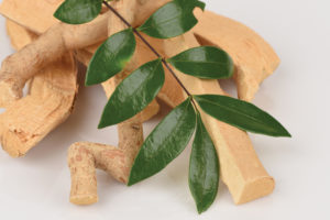 Tongkat Ali: Herbal Medicine for Sexual Dysfunction, Increased Testosterone, & Male Fertility