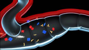 Sponsored Video: Renadyl™ in Motion