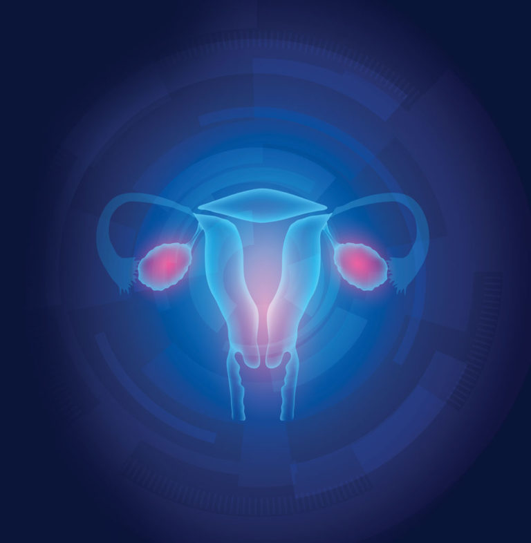 Ovaries and Intestines