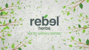 Sponsored Video: The Rebellious Immune System