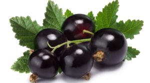Blackcurrants Are Favorable For Glucose Metabolism