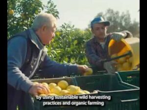 [Sponsored Video] Bergamonte®: Italian SuperCitrus. Cardioprotective Science, History, Sustainability. From HP Ingredients.