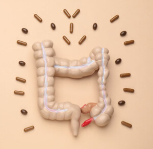 How Prebiotics Can Affect the Gut and Brain