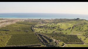 [Sponsored Video] Special Report: Bergamonte®, the Untold Story – Official Teaser