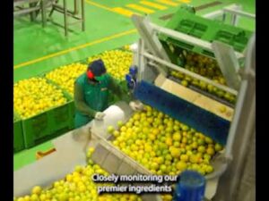 [Sponsored Video] Bergamonte®: Italian SuperCitrus. Cardioprotective Science, History, Sustainability. From HP Ingredients.