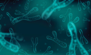 Pre-, Pro- and Postbiotics: The Benefits on Health