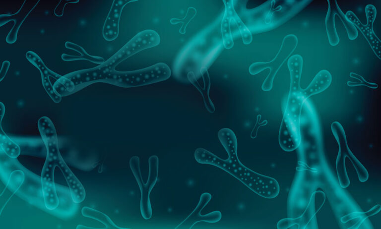 Postbiotics & Enzymes