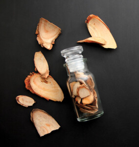 Research Update: Tongkat Ali for Aging Males, Aging Females & Young Athletes