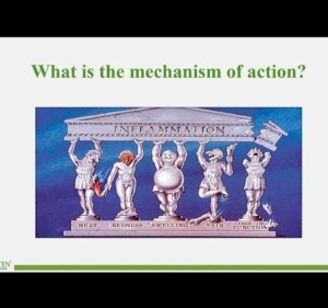 [Sponsored Video] Discover the immuno-stimulant and anti-inflammatory powers of ParActin®