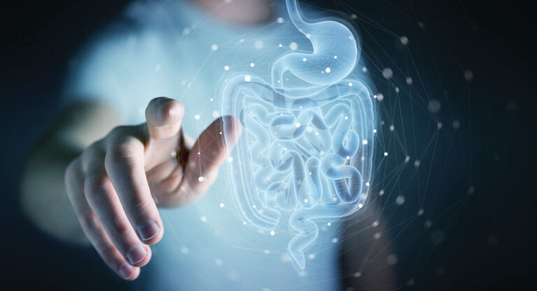 Digestion and the Microbiome