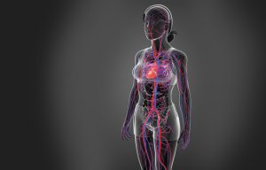 Beyond Birthdays: Decoding Biological Age with Epigenetics and Innovative Testing