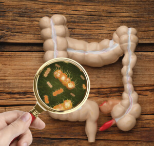 Keeping an Eye on Gut Health