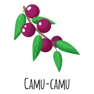 Study Shows Benefits of Camu-Camu on Non-alcoholic Fatty Liver Disease