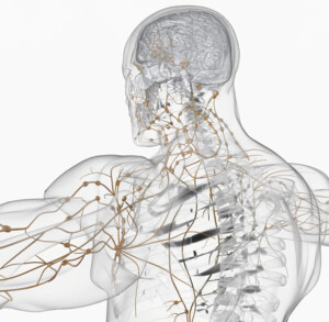 Calm, Cool & Collected: Nervous System Support