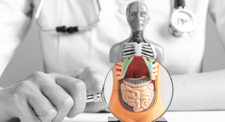 Digestion & Microbiome