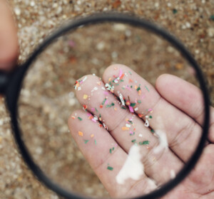 Microplastics: The Trojan Horse or the Elephant in the Room?